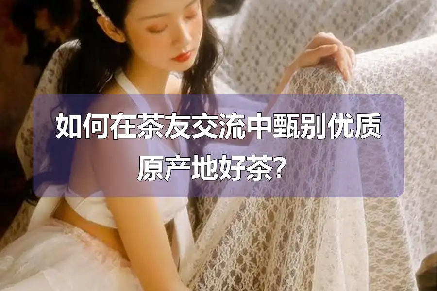 如何在茶友交流中甄别优质原产地好茶?